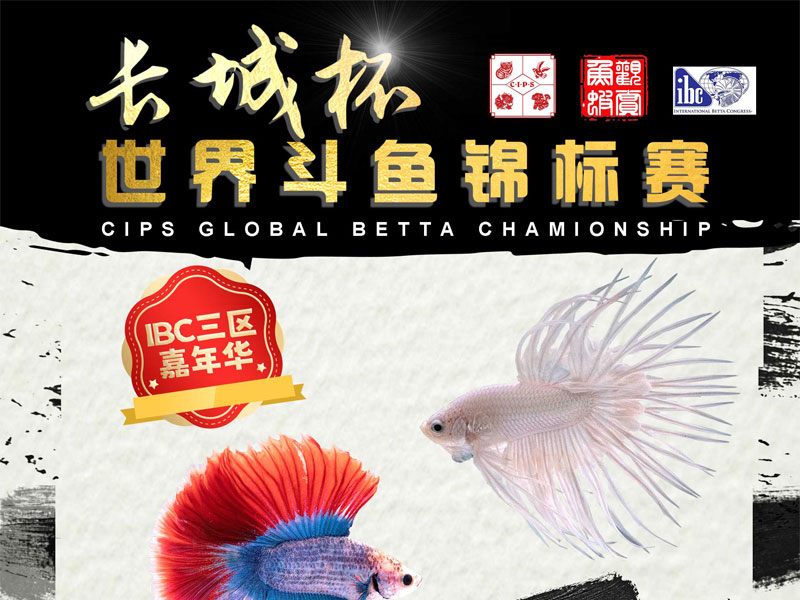 2023年“長城杯”小(xiǎo)型觀賞魚蝦錦标賽上海重燃戰火(huǒ)！